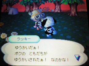 �䂤���������I