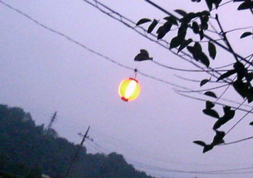 ܂肿傤