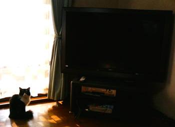 SONY@BRAVIA@52^ChƃNA
