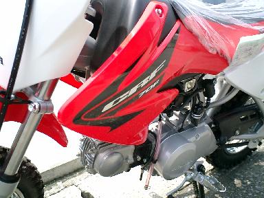 �V�F���E�h���b�q�e���̗p