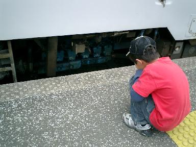 �G���W���ł������