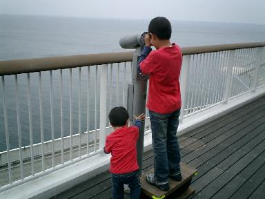 �݂��邩�ȁH�l�ɂ������āI