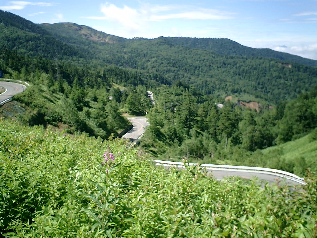 �����Ė��v�����ʂ�