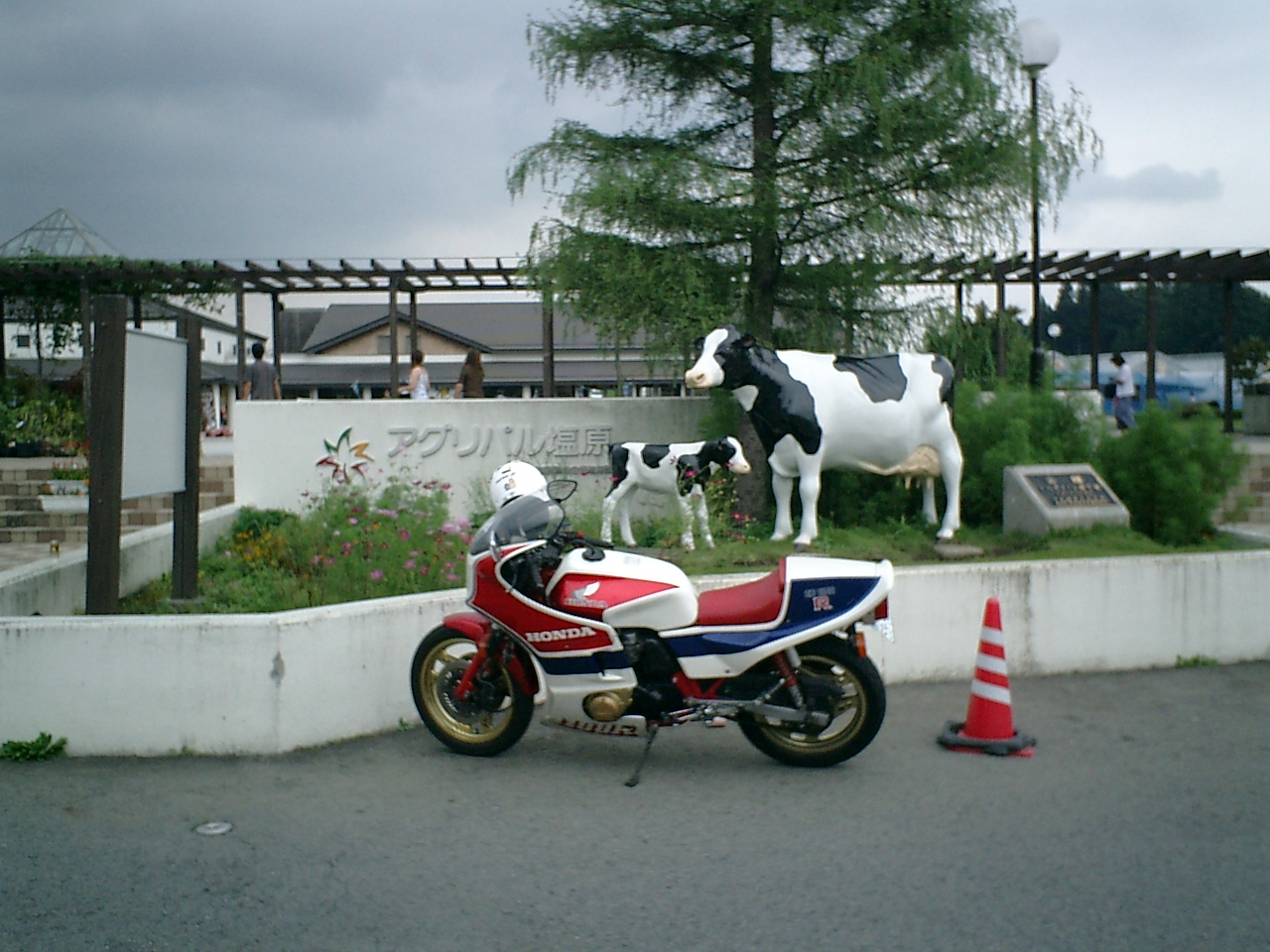 �����ւ�!�Ǝv���������̓V�C�ŋA��܂����B�i���̍������ɂāj