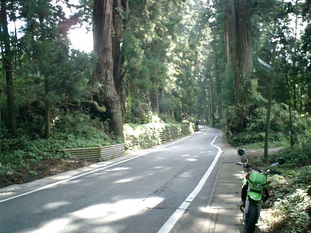 �ᕼ�g�X���A������