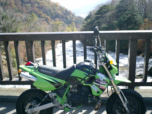 �����̑����