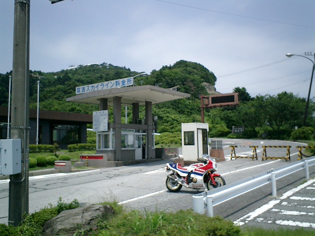 �}�g���ײݗ�����