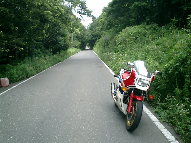 �r���B���͋C�o�Ă����I