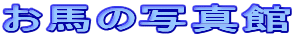 n̎ʐ^