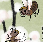 ウメノキゴケちゃんとミツバチ