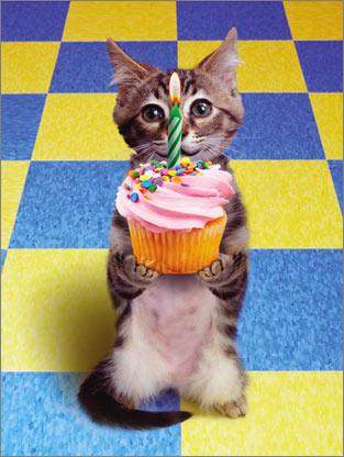 <img:http://www5f.biglobe.ne.jp/~hatsuse/Birthday-Cat.jpg>