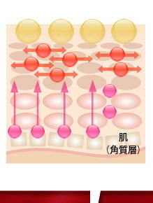 肌の老化を加速するのが水不足 見た目が変わるエイジングケアとは水分のキープ力があること！