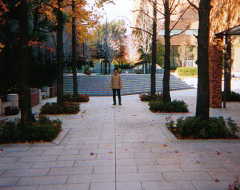 �܂������P