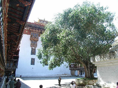 bhutan004016.jpg