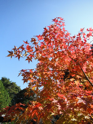 east-nara001003.jpg