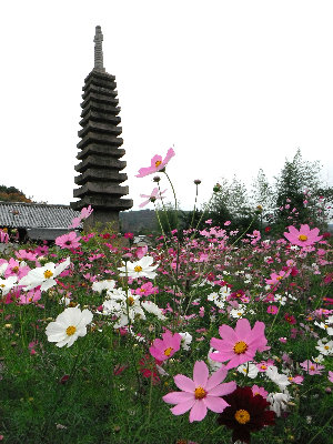 east-nara001020.jpg