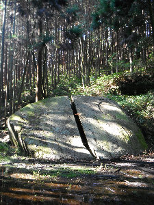 east-nara002021.jpg