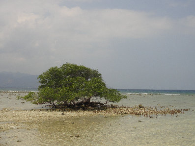 gili002008.jpg