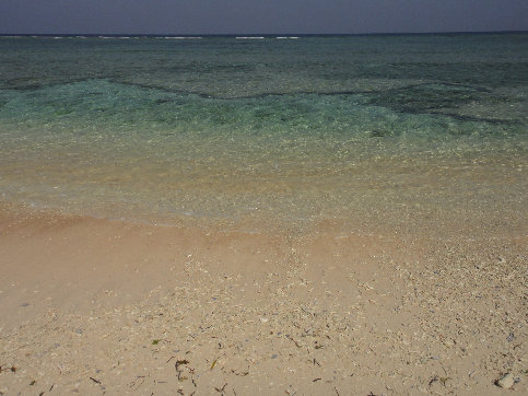 gili002012.jpg