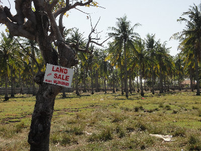 gili002013.jpg