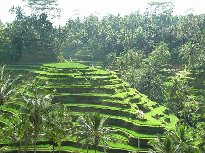 indonesia001015.jpg