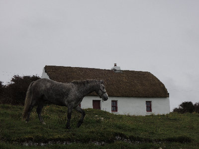 ireland001008.jpg