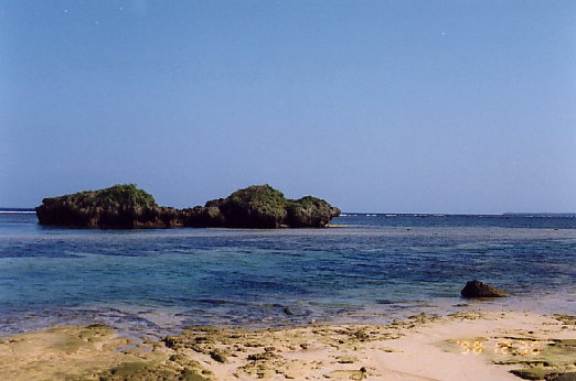 iriomote001003.jpg