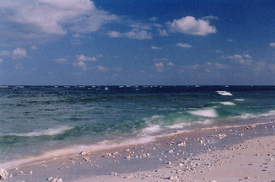 minnajima2001001.jpg