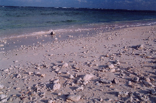 minnajima2001002.jpg