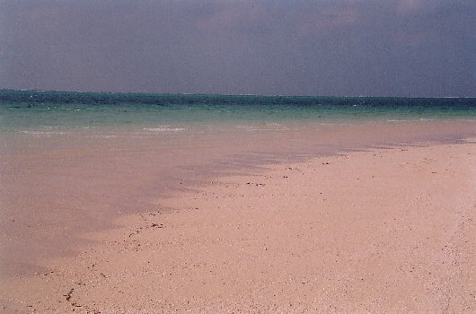 minnajima2001008.jpg