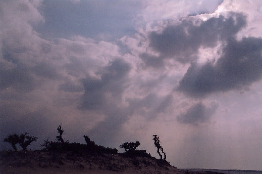 minnajima2001009.jpg