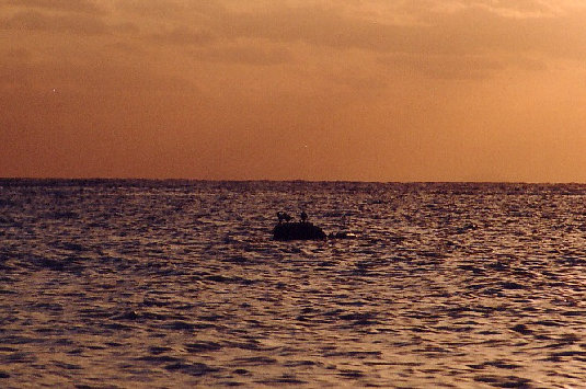 minnajima2002003.jpg