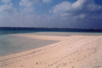 minnajima3001008.jpg