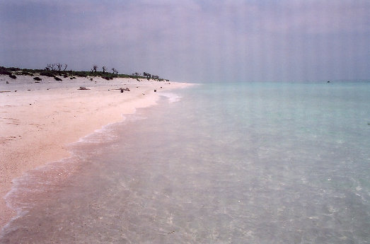 minnajima4001001.jpg