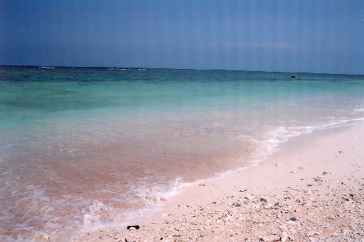 minnajima4002004.jpg