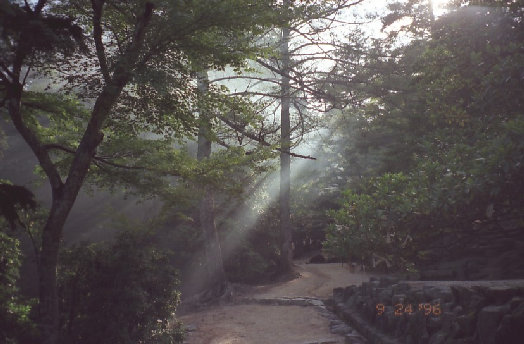 miyajima001001.jpg