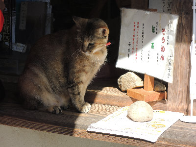 nara001006.jpg