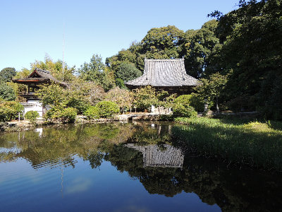 nara001009.jpg