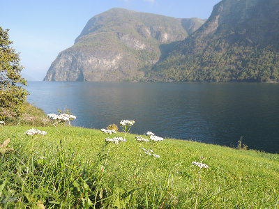 norway001013.jpg