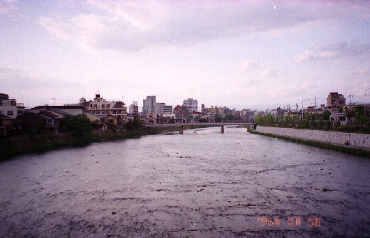 sagano001001.jpg