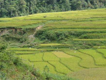 sapa002003.jpg