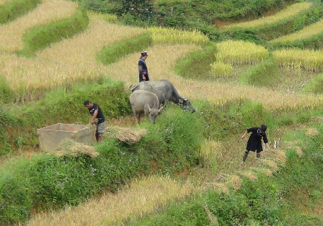 sapa002006.jpg