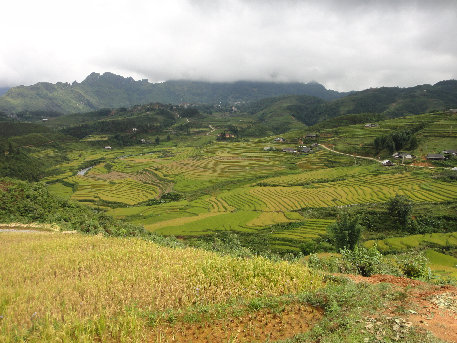 sapa002009.jpg