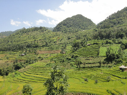 sapa004019.jpg