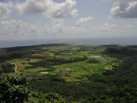 yonaguni002002.jpg