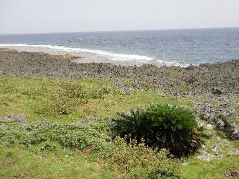 yonaguni002013.jpg