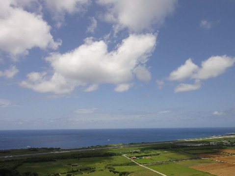 yonaguni003014.jpg