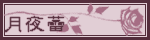 月夜蕾