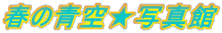 t̐󁚎ʐ^