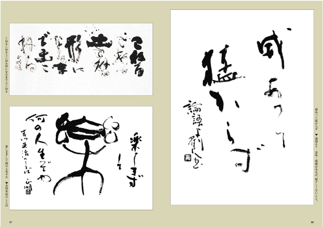 Homepeage Of Nsf Tanosimerukanjikana Page